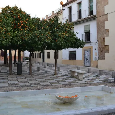 Apartamento Mezquita